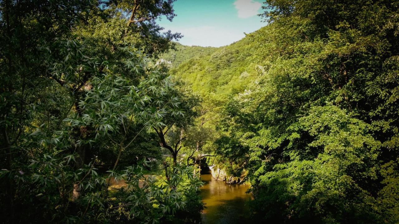 Restoran Sa Prenocistem Gornjak Krepoljin Luaran gambar